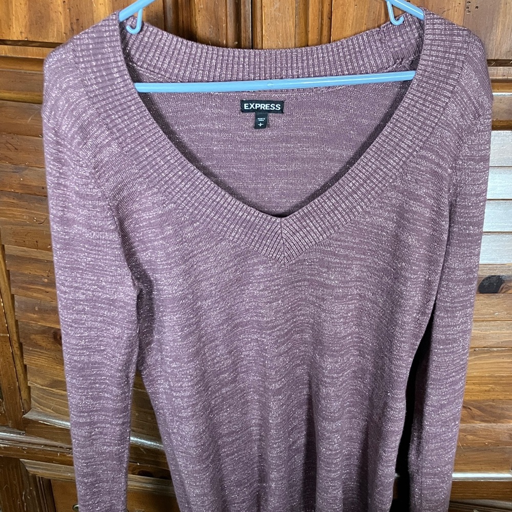 Express Lavender V-Neck Sweater